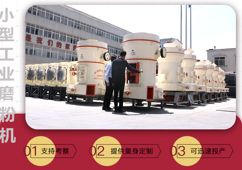 客戶(hù)參觀(guān)工業(yè)磨粉機(jī)